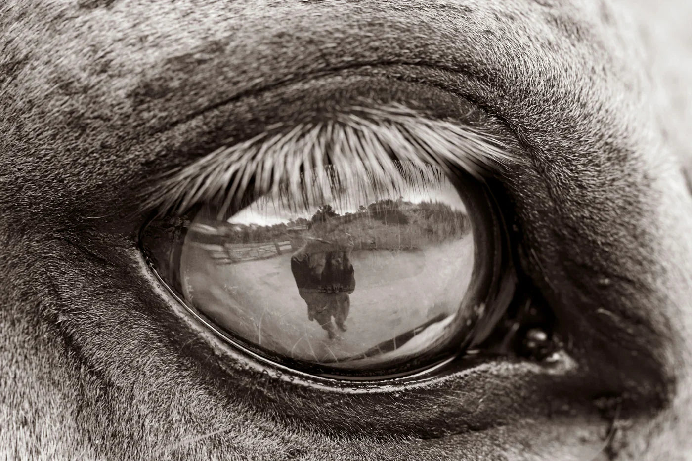 Sincronía Desbocada  - Una exposición fotográfica de Astrid Muñoz
